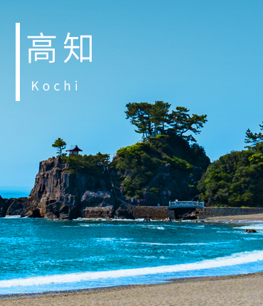 高知
